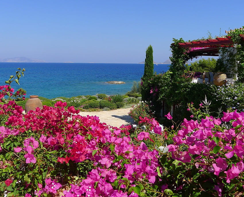 beautiful, garden, sea, summer, flowers, coast, plants HD wallpaper