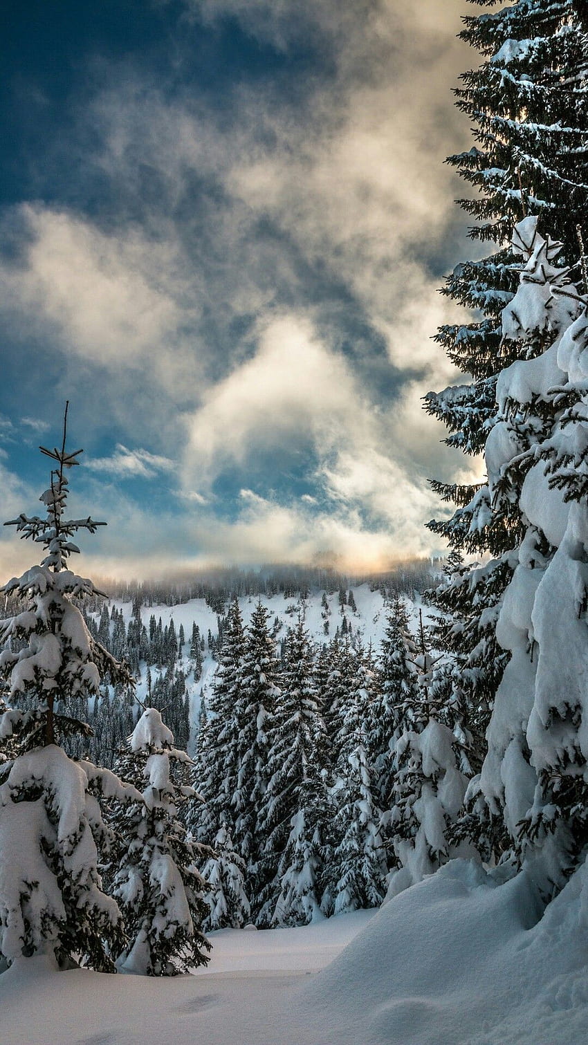 Ide oleh tpinner di bentangan salju. Pemandangan musim dingin, Latar Belakang, Musim Dingin New Hampshire wallpaper ponsel HD