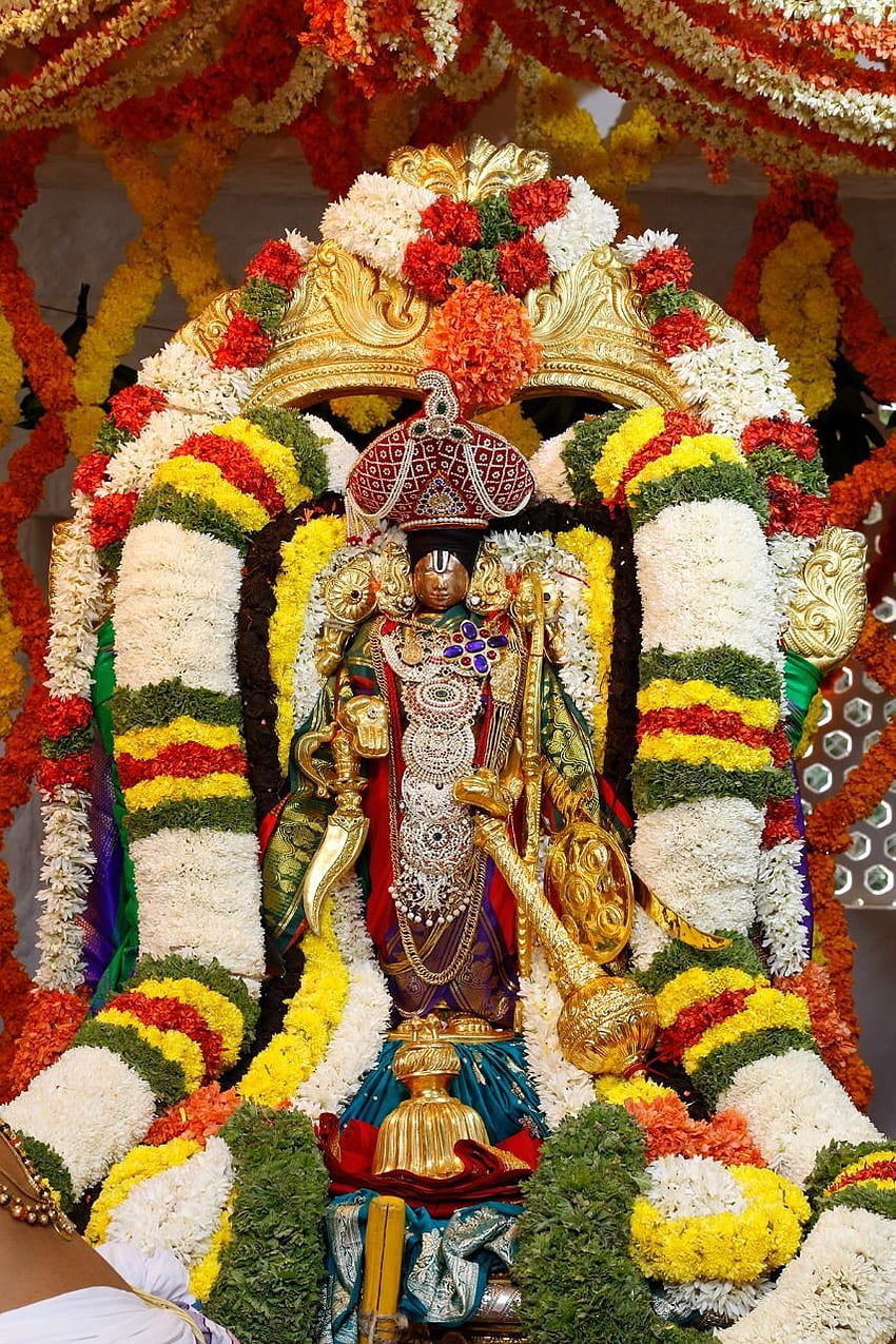 Sri Malayappa Swamy parveta utsavam in tirumala. Lord hanuman , Lord vishnu , Lord krishna, Tirumala Tirupati HD phone wallpaper