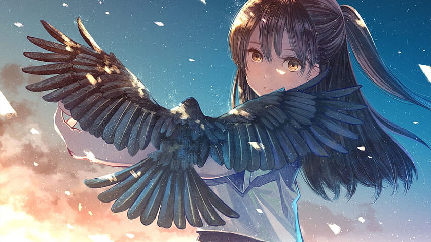 Anime Girl, Black Bird, Brown Hair, Sunset, Sky HD wallpaper | Pxfuel