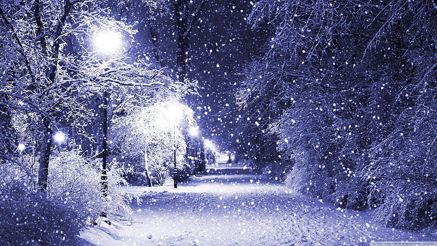 Winter Wonderland, Vintage Winter Wonderland HD wallpaper | Pxfuel