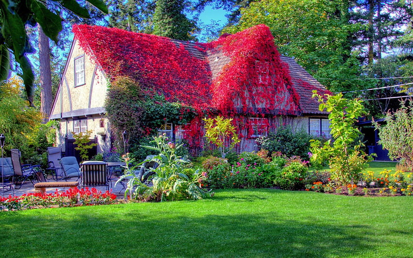 Rumah Musim Semi, indah, bunga, musim semi, rumah Wallpaper HD