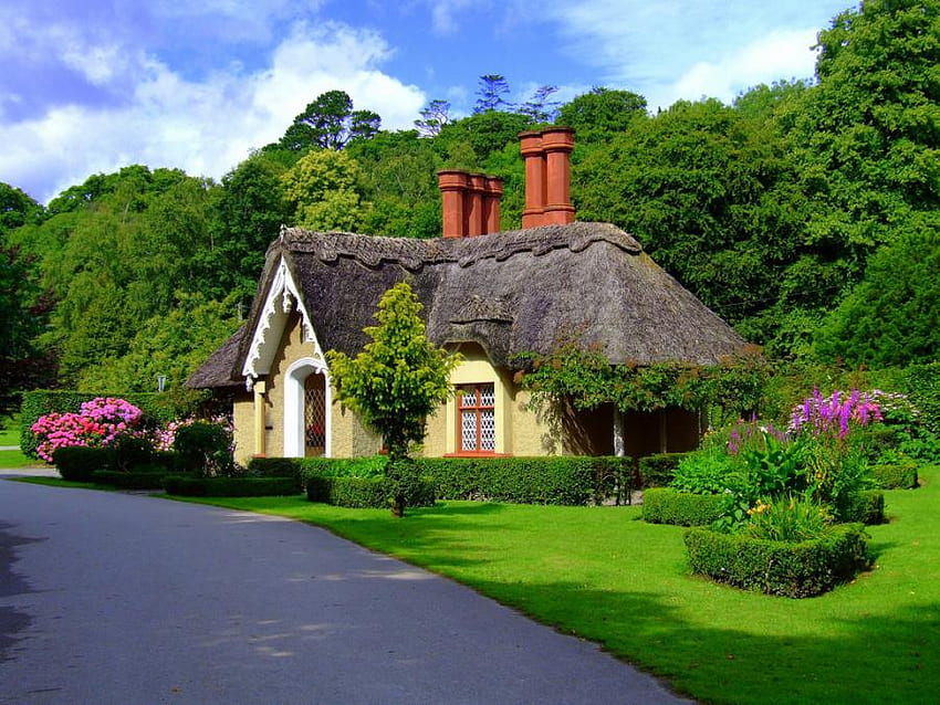 English cottage, hills, yellow color, shrubs, rose, thatched roof, trees, road, flowers, cottage, landscaped HD wallpaper
