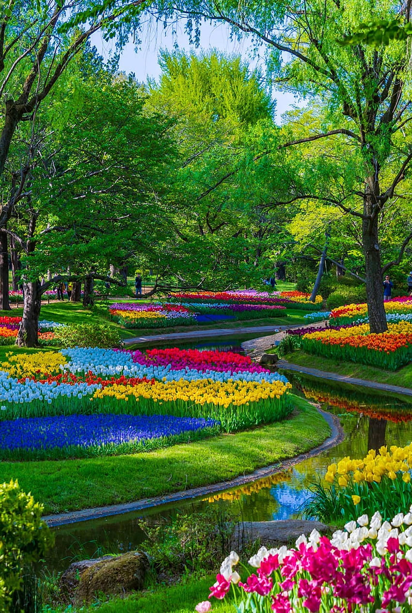 อิวานกา คอสโตวา บนจาร์ดิม สวนสวยที่สุด สวนสวย สวนดอกไม้สวย สวนมหัศจรรย์ วอลล์เปเปอร์โทรศัพท์ HD