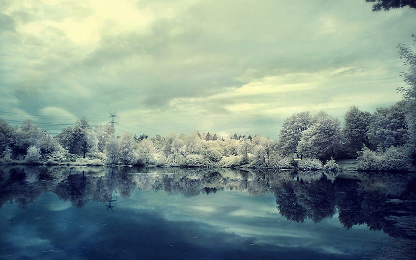 Зима, природа, дървета, сняг, езеро, отражение, бряг, банка, скреж, скреж, студ, огледало HD тапет