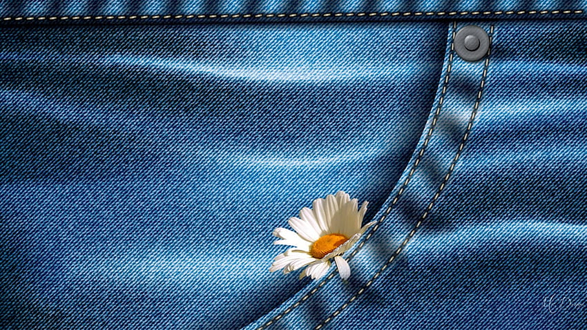 Daisy in My Pocket, blue, trousers, pocket, denims, daisy, pants, flower, jeans HD wallpaper