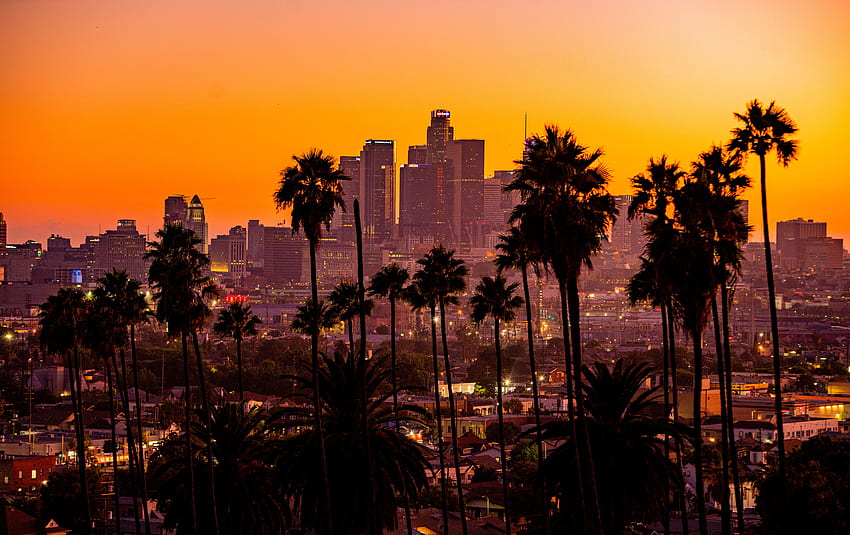 Miasta, zachód słońca, palmy, miasto, budynek, drapacze chmur, Los Angeles Tapeta HD