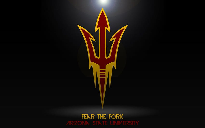 Arizona State University, University of Arizona Logo HD wallpaper