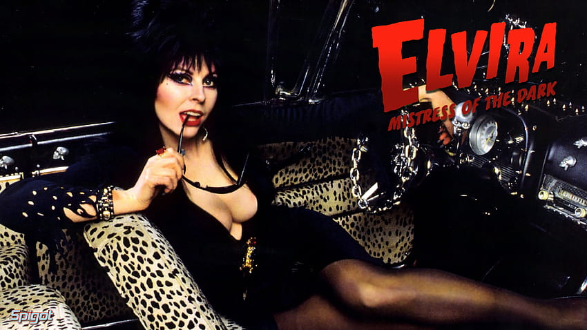 Elvira Mistress Of The Dark Another elvira for HD wallpaper