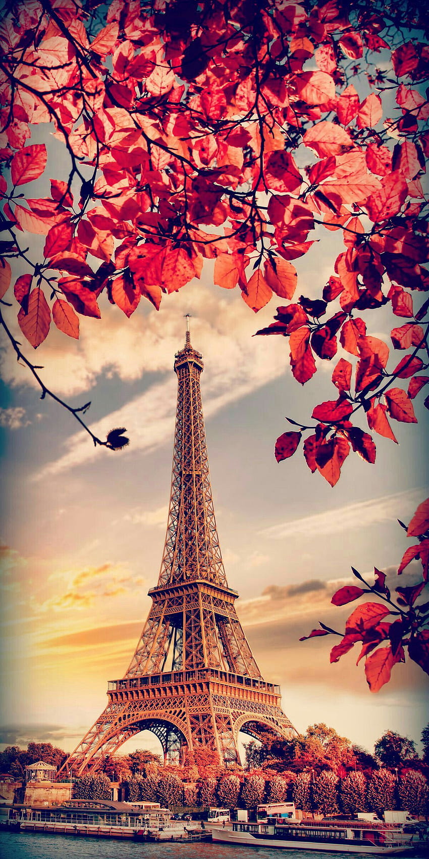 Като Qu4tro Estações Outono Autumn, Парижка есен HD тапет за телефон