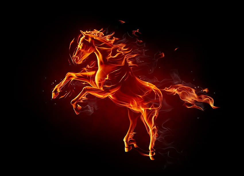 Огнен кон, кон, черен, фантазия, luminos, огън HD тапет