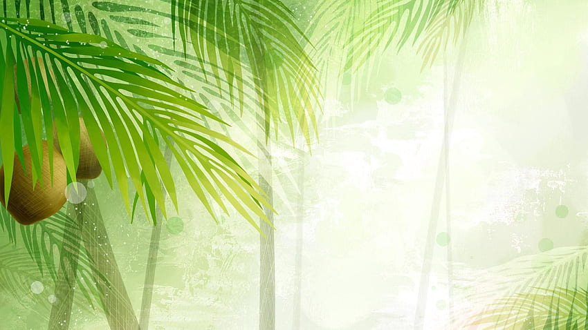 Кокосов фон. Кокосови листа, кокос и кокосово дърво, зелен кокос HD тапет