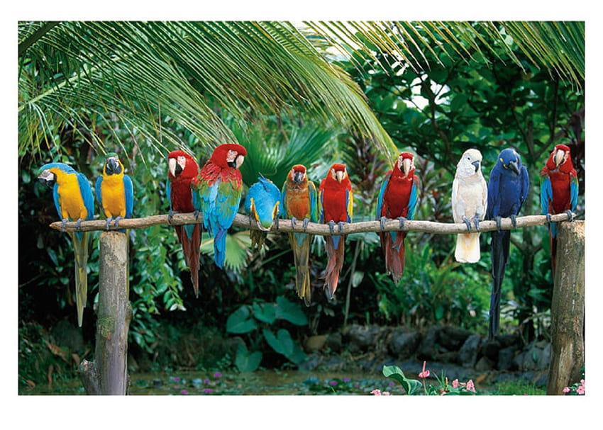 Reunión de jefes del crimen de la mafia, azul, blanco, amarillo, verde, rojo, árboles, todos sentados en un palo de madera fondo de pantalla