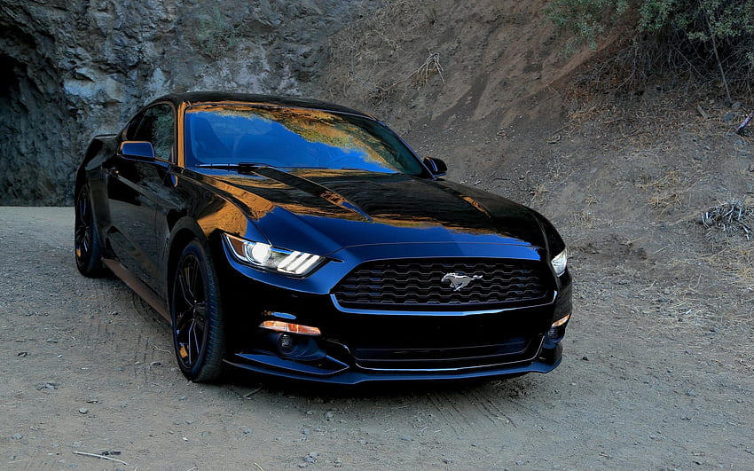 Ford, Sports, Mustang, Cars, Front View, Sports Car HD wallpaper