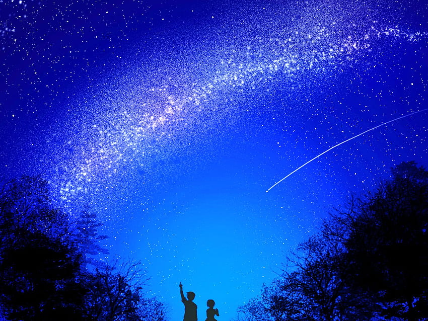 A Starry Night, night, meiko, trees, sky, kaito, 星, ボーカロイド, 恋人たち 高画質の壁紙