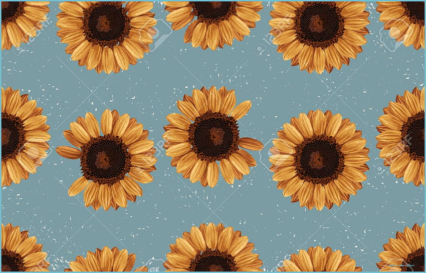 Stock Illustration - Sunflower Vintage HD wallpaper