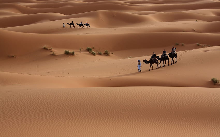 nature, Landscapes, Desert, Dune, Sand, People, Travel, Travel graphy HD wallpaper
