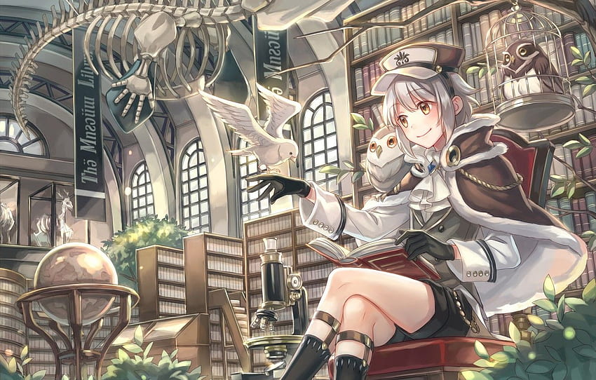 Owl, art, skeleton, girl, library for, Anime Library HD wallpaper | Pxfuel