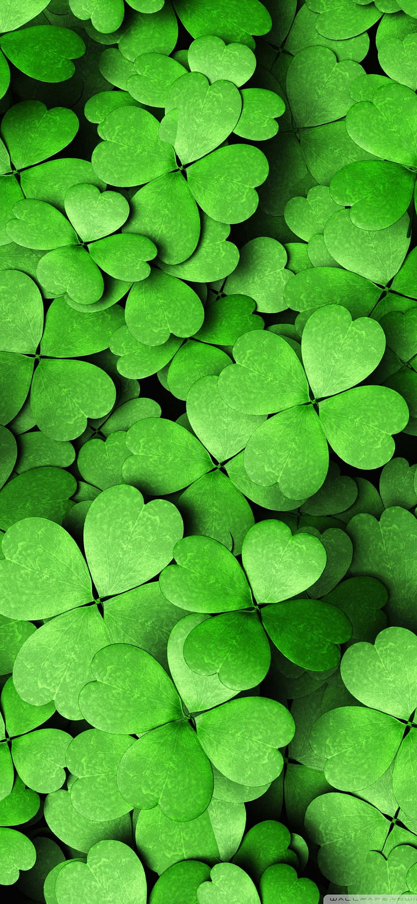 47 Android 4 Leaves Clover Wallpapers  WallpaperSafari