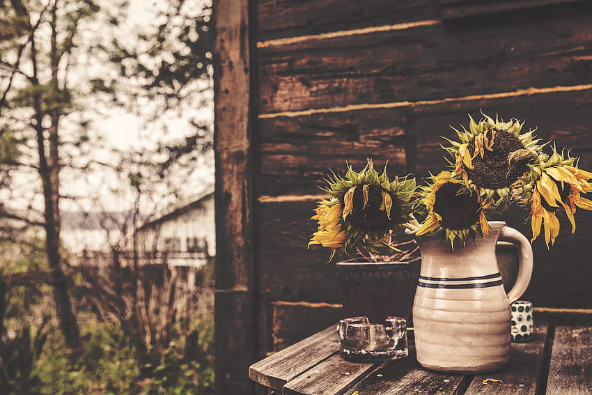 Flowers, Sunflowers, Vase HD wallpaper