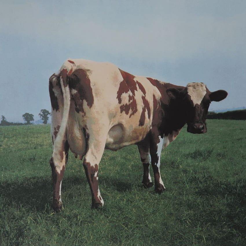 Storm Thorgerson, Atom Heart Mother, 2003. CCA Galleries Limited HD тапет за телефон