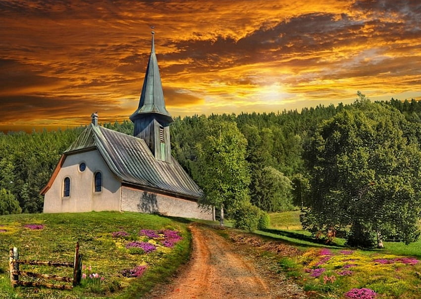 Peacefull Church、風景, 家, 可愛い, 教会、木 高画質の壁紙