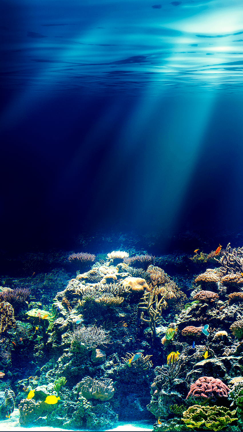 Ƒ↑TAP AND GET THE APP! Art Creative Sky Nature Sea, Underwater Ocean iPhone HD phone wallpaper