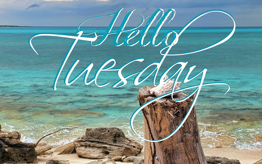 - Hello Tuesday And Quotes - - HD wallpaper | Pxfuel