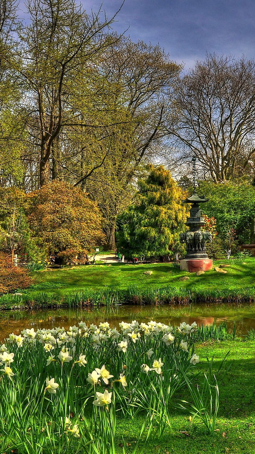 ดอกไม้ ดอกนาซิสซัส บ่อน้ำ สวน พระพุทธรูป รูปปั้น Iphone 8 7 6s 6 สำหรับพื้นหลังพารัลแลกซ์ วอลล์เปเปอร์โทรศัพท์ HD