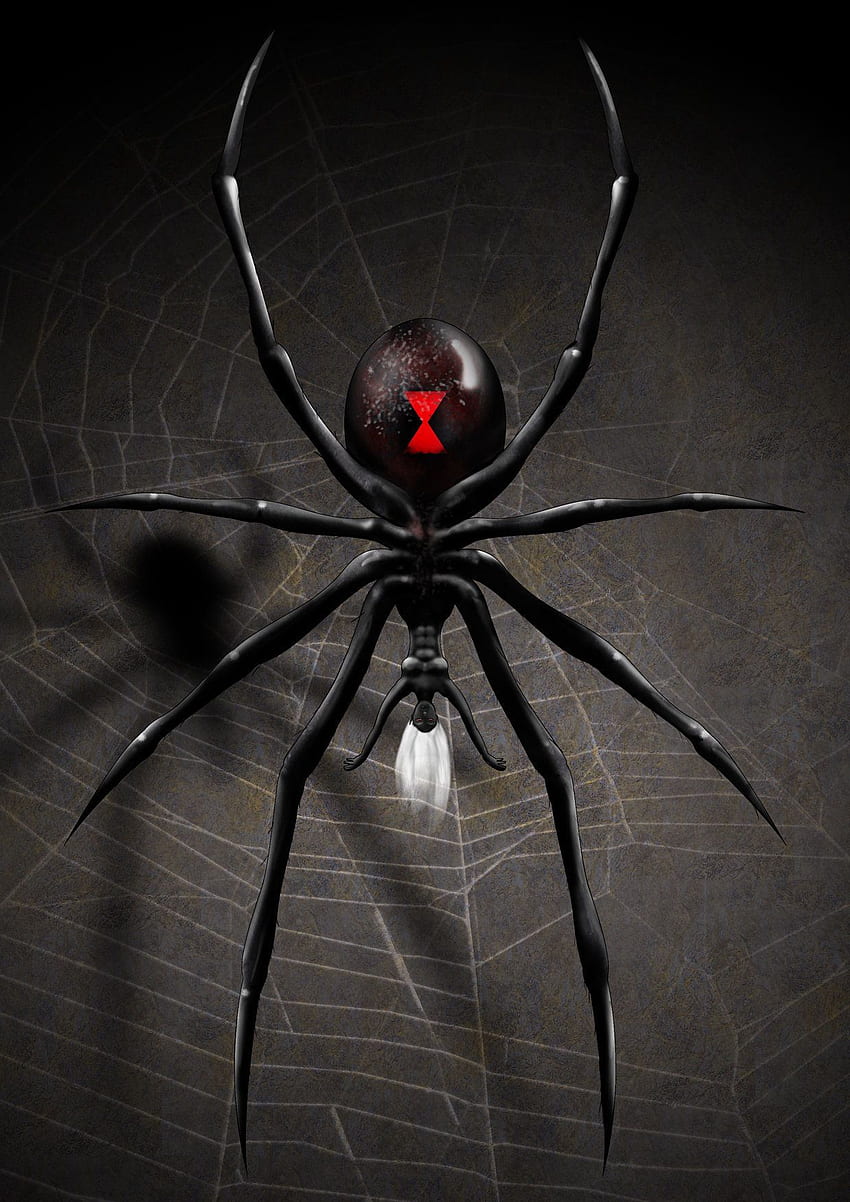 Drider. Arte del ragno, fumetti Marvel, dipinti Marvel, Black Widow Spider Sfondo del telefono HD
