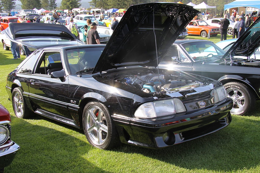 1979 Ford Mustang 5.0 ไฟหน้า สีดำ กราฟิค เครื่องยนต์ ยาง Ford วอลล์เปเปอร์ HD