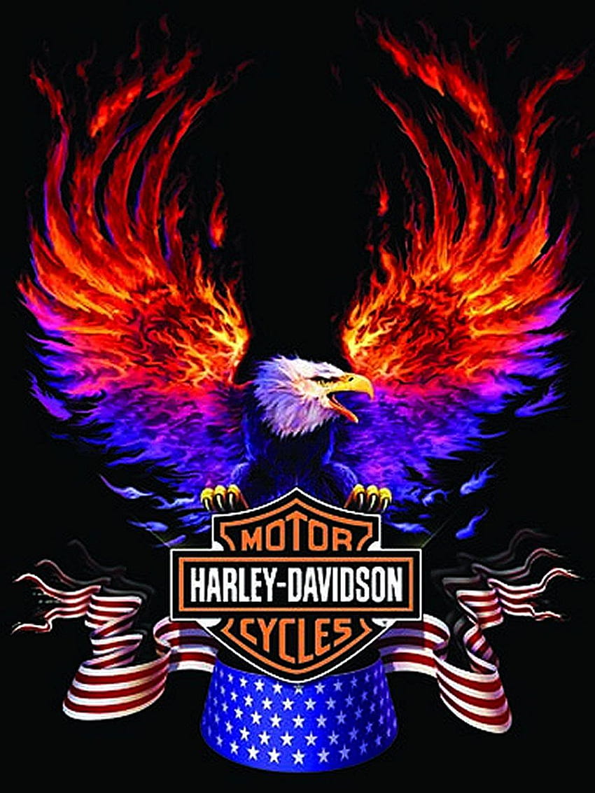 Logotipo de Harley Davidson, motorista y águila fondo de pantalla del teléfono