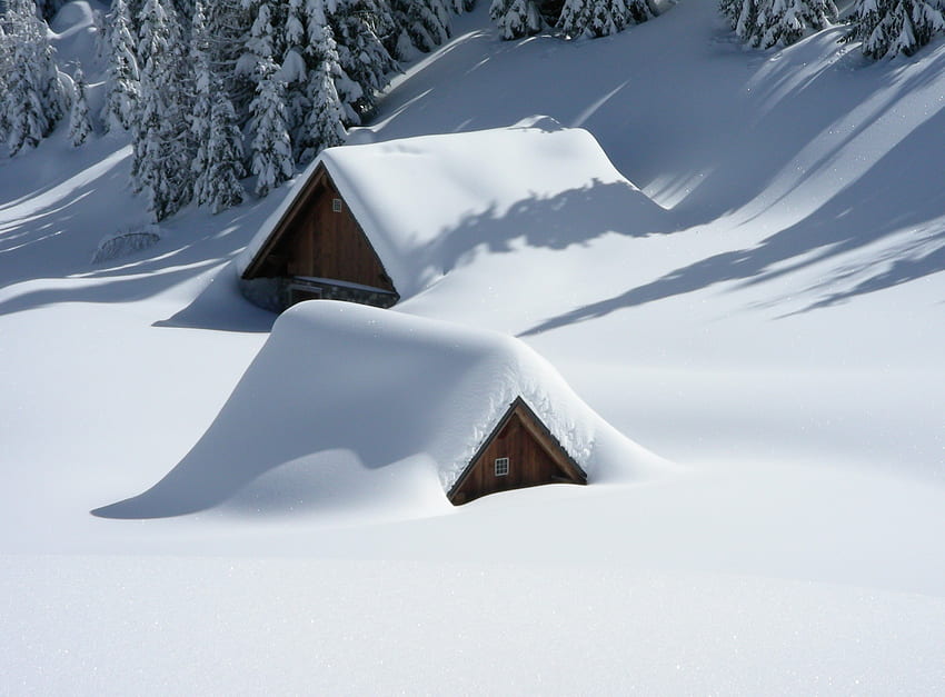 Природа, дървета, сняг, сграда, височина HD тапет