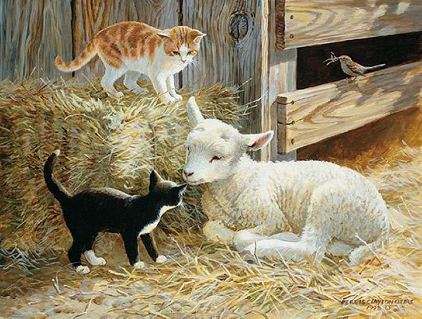Persis Clayton, kotek, stajnia, persis clayton, malarstwo, sztuka, owca, kot, przyjaciel Tapeta HD