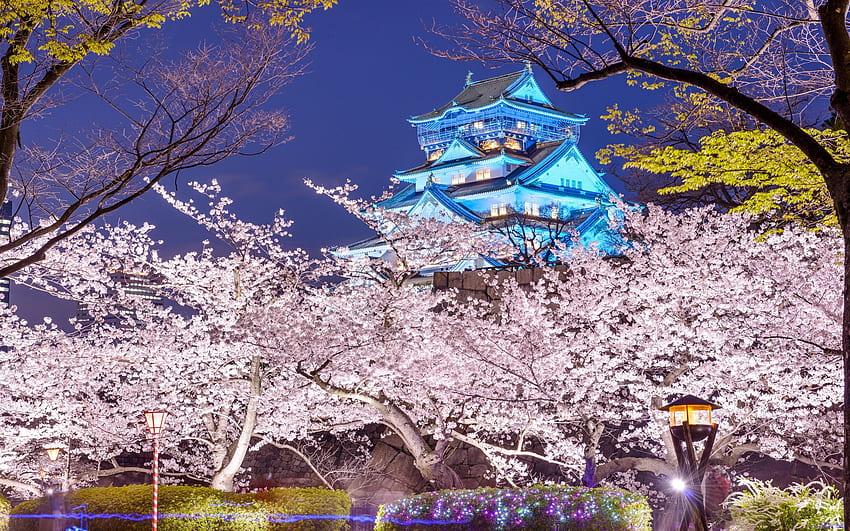 Osaka Castle and Background, Japanese Castle HD wallpaper