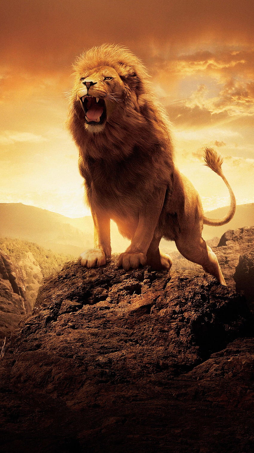 Narnia Günlükleri: Aslan, Cadı ve Dolap (2022) filmi HD telefon duvar kağıdı