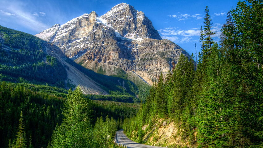 캐나다 r, 하늘, r, 산, 고속도로, 숲의 yoho np를 통한 외로운 고속도로 HD 월페이퍼