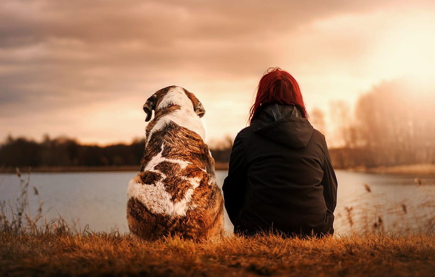 Kız, gün batımı, köpek, huysuz, için en iyi arkadaş, bölüm девушки