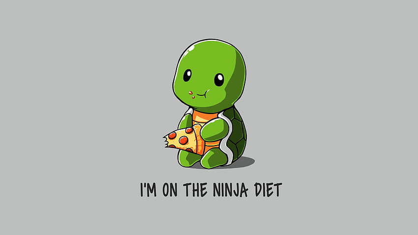 Funny Ninja On Diet 1440P Resolution, 2560 X 1440 Humor HD wallpaper