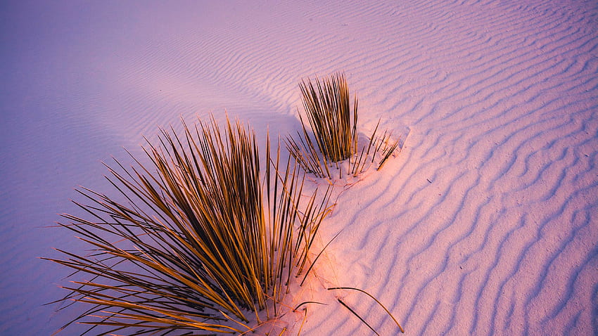 White Desert Dune, Desert Pink HD wallpaper | Pxfuel
