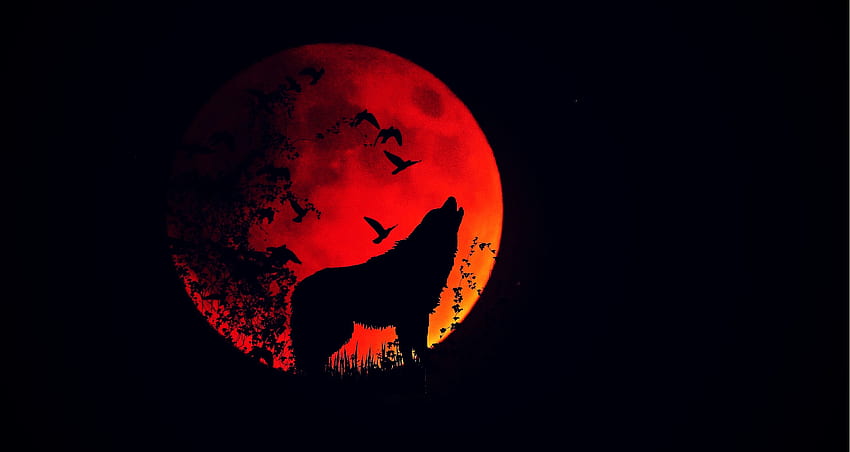 Dark, Silhouette, Wolf, Full Moon, Howl, Fiery Moon, Moon Of Fire HD wallpaper