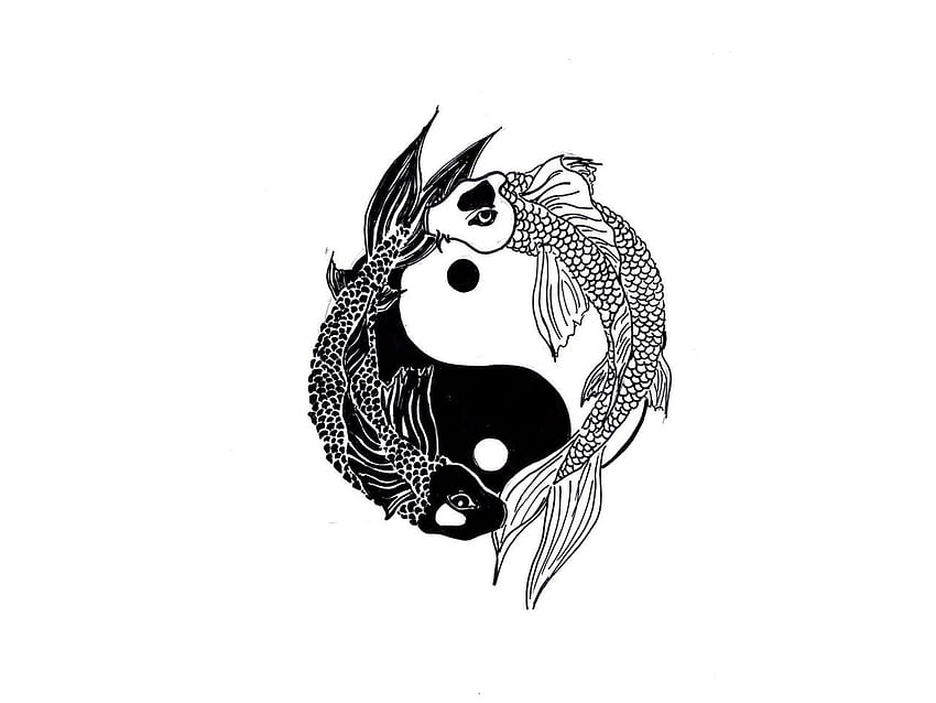White and black fish HD wallpapers | Pxfuel