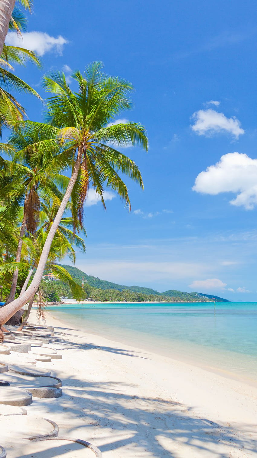 sky, sea, nature, beautiful, sand, clouds, tropical, tropical beach, landscape, coconut palm trees 100082 HD phone wallpaper