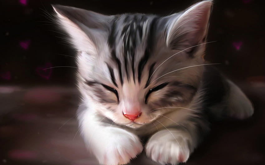 CAT NAP, art, drawing, face, cat, sleeping HD wallpaper