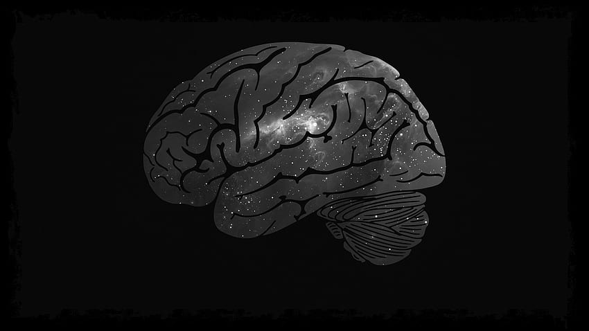 Gehirn für Ihren oder mobilen schirm und einfach zu Galaxy Brain HD-Hintergrundbild