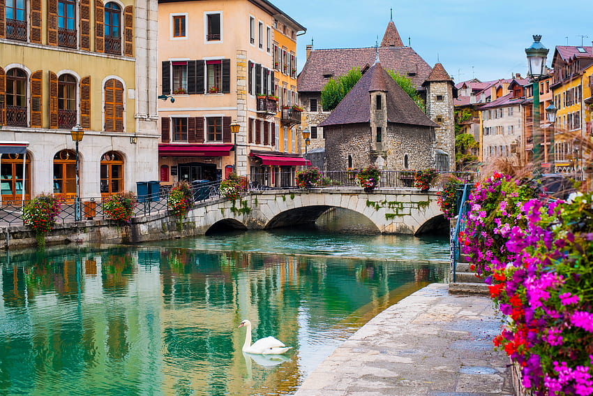 Annecy, France, rivière, réflexion, pont, fleurs, maisons Fond d'écran HD