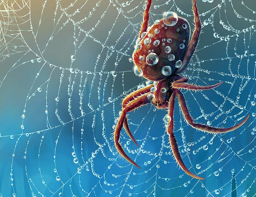 Spinne, Blau, Fantasie, Marta Sokolovska, Netz, Insekt HD-Hintergrundbild