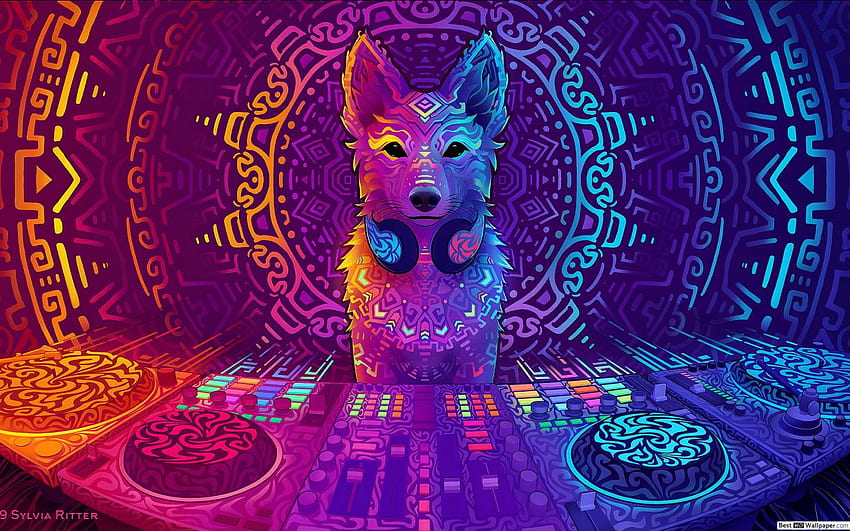 DJ Fox digital art, Fox Galaxy HD wallpaper