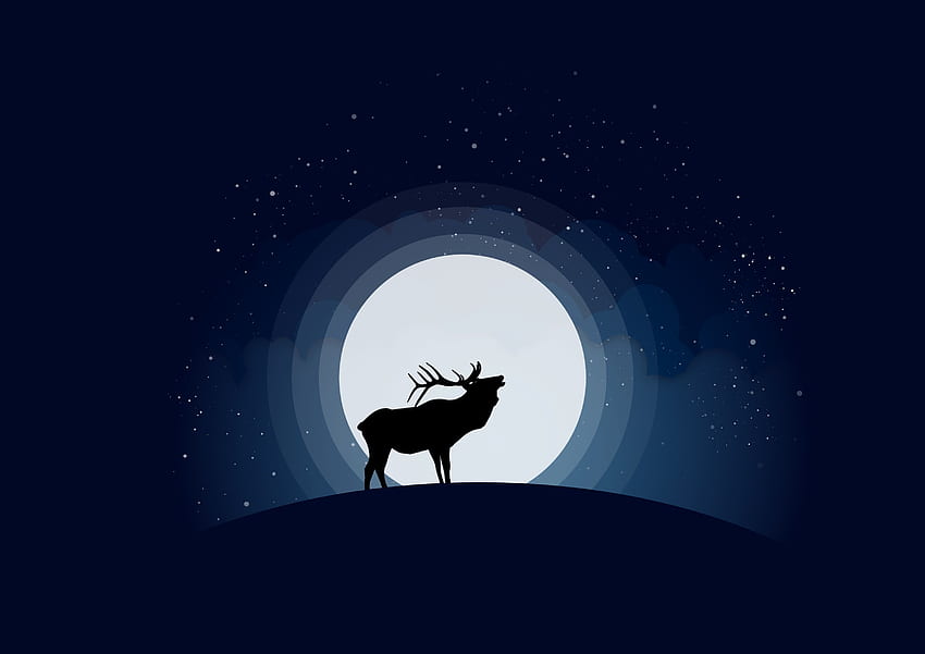 Moon, Vector, Deer HD wallpaper