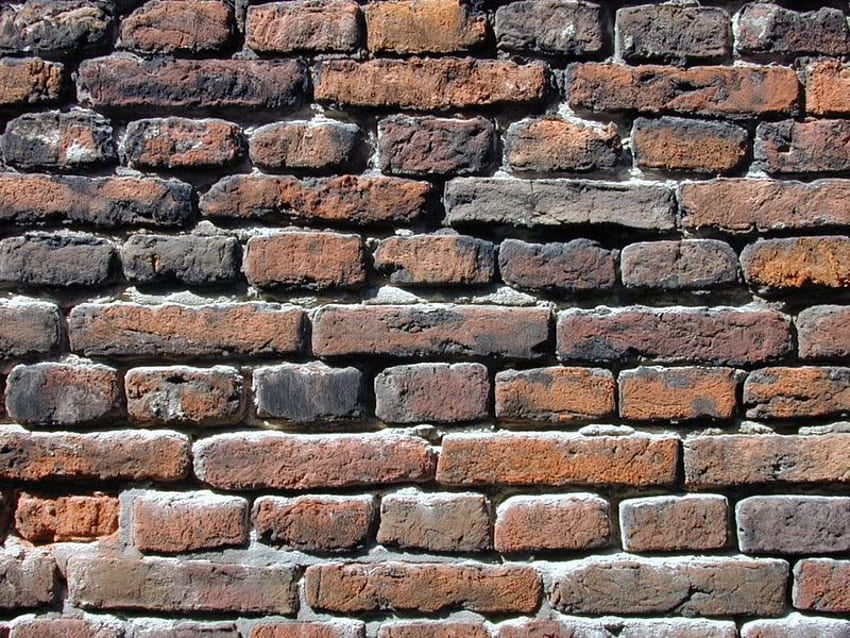 algo, parede, tijolo papel de parede HD
